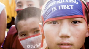 Candle for Tibet > Stop killing in Tibet