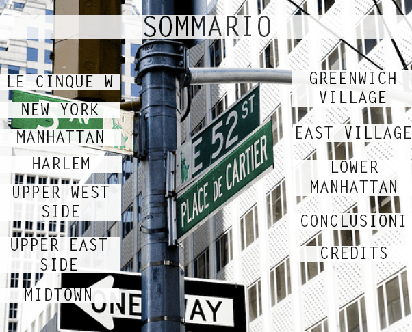 Valentina Rossetti, New York, sommario