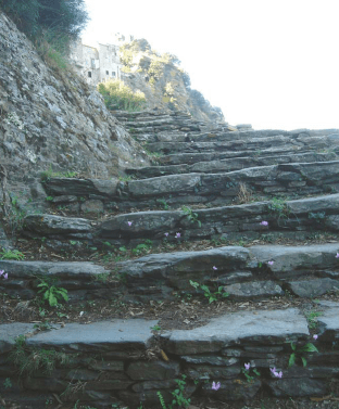 Nonza (Corsica) > Tornando al paese