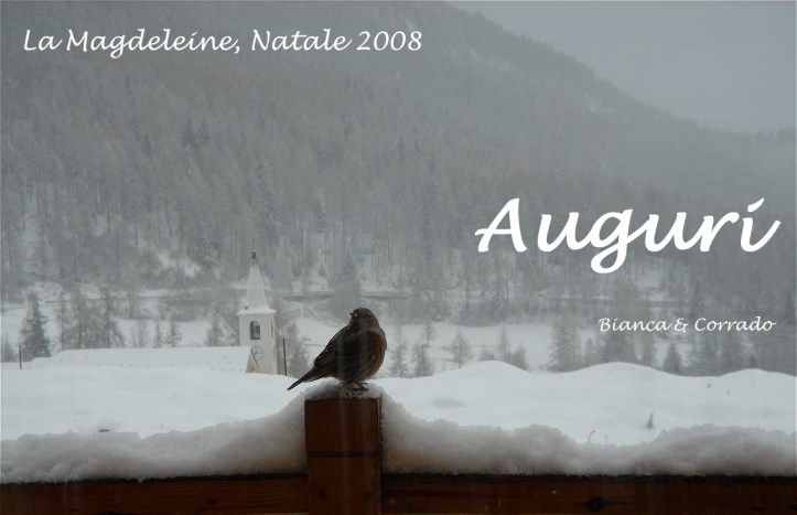 cdf_bd_2008-12-25_auguri