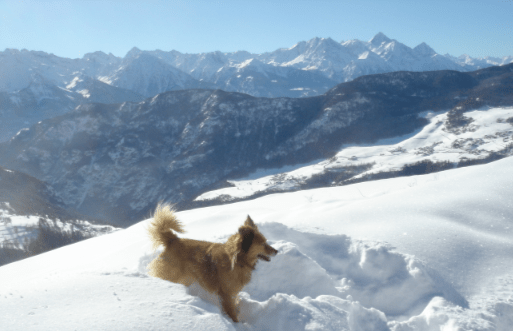 La Magdeleine > Stella