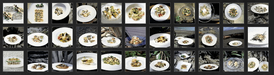 El Bulli > General Catalog > Dishes