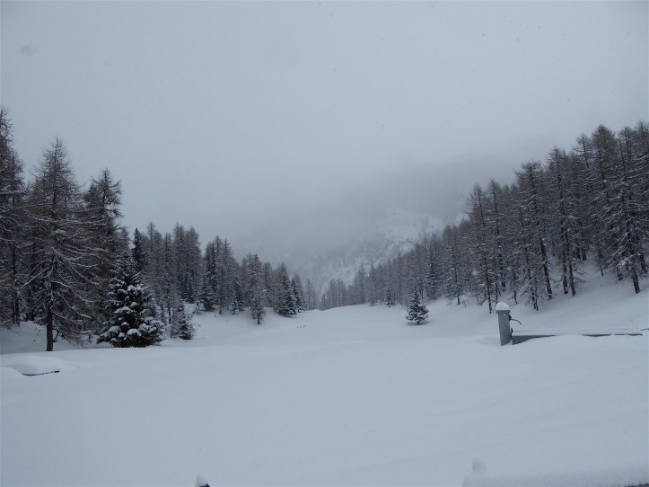 14.02.2016 Col Pilaz