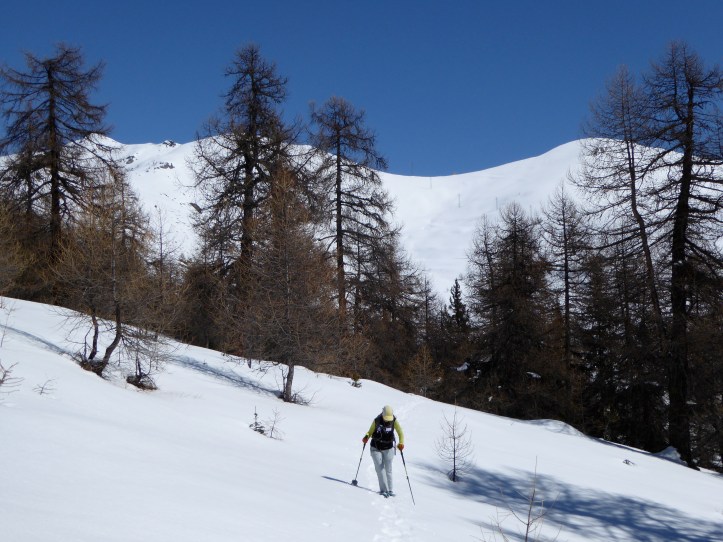 sullo sfondo il col Portola