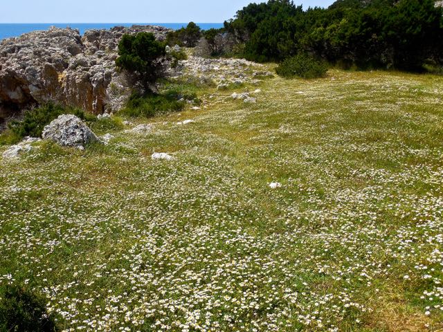 Appena sopra la spiaggetta di Glossa