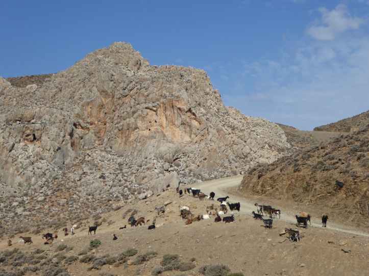 il traffico sulle strade