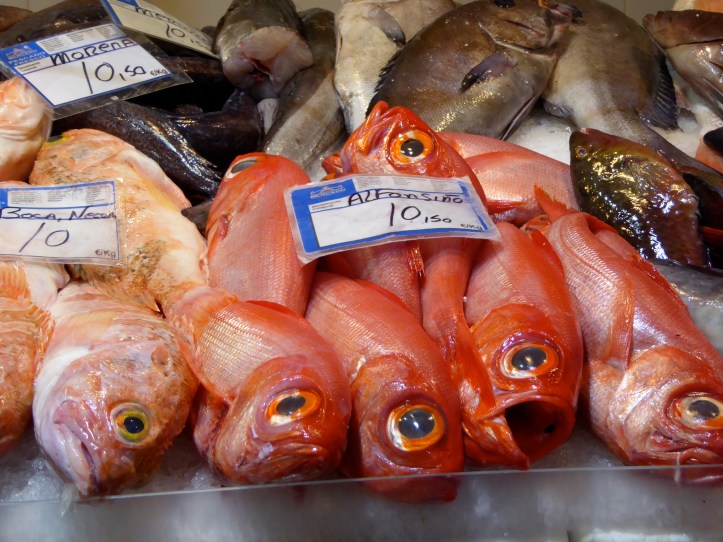 al mercato di Tenerife, Alfonsino non ha un'aria molto contenta...